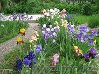 продам дом-дачу в ИЯФ - Изображение #1, Объявление #562150