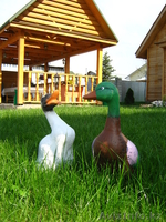 Озеленение и благоустройство Вашего сада - Изображение #8, Объявление #589639