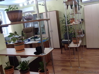 Лучшая мебель на заказ - Изображение #4, Объявление #638998