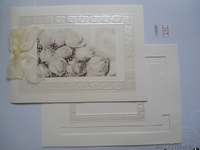 Дизайн-Студио "Print Invitation Cards"  - Изображение #3, Объявление #607380