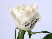 Печать на цветах - Изображение #3, Объявление #640937