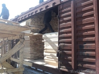 продажа пиломатериалов из ангарской сосны оптом в Алматы - Изображение #3, Объявление #563386