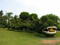 Хайнань-8 дн+  Пекин-3 дн. АКЦИЯ -Экскурсия в  ПОДАРОК !!!  - Изображение #1, Объявление #635175