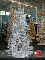 Volshebnik Event Agency - Изображение #4, Объявление #636503