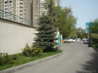 Продажа 2-х,5-ти комнатных квартир и пентхаусов - Изображение #1, Объявление #637415