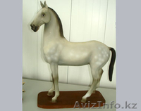 ТОО "Компания Д`Арлан" - Изображение #4, Объявление #656856