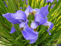 Видео Фото оператор - Изображение #2, Объявление #665084