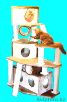 домики для кошек разборные - Изображение #2, Объявление #670497