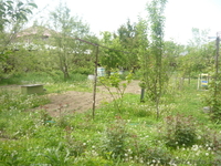 Продам дом в Калкамане 2 - Изображение #1, Объявление #655559