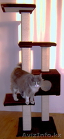 домики для кошек разборные - Изображение #5, Объявление #670497