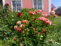 Не упусти такой шанс!!! - Изображение #6, Объявление #683335