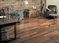 Ковролан (ковролин), линолеум, паркетная  доска, ламинат, грязезащита. - Изображение #3, Объявление #691331