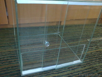 террариум для пауков - Изображение #4, Объявление #695064