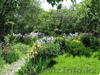 Срочно!!! В связи с выездом!!! - Изображение #1, Объявление #697034