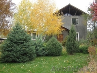 Срочно!!! В связи с выездом!!! - Изображение #4, Объявление #697034