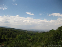 Продам дачу Каменское Плато - Изображение #1, Объявление #686998