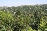 Земельный участок. Ары-беры, все дела. - Изображение #1, Объявление #688441