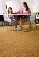 Ковролан (ковролин), линолеум, паркетная  доска, ламинат, грязезащита. - Изображение #1, Объявление #691331