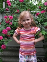 благое дело общественый благотворительнный фонд - Изображение #2, Объявление #689219