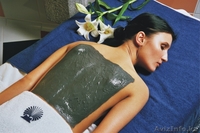 Отдых и лечение - лучший подарок родным!! - Изображение #2, Объявление #703375