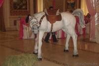 Оформление торжественных мероприятий - Изображение #5, Объявление #710675