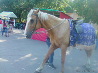 Настоящий отдых! - Изображение #2, Объявление #726769