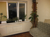 Продам 2-х комнатную квартиру. Срочно! - Изображение #1, Объявление #721590