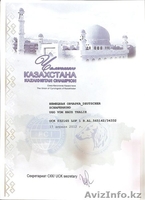 Продам щенка НО - Изображение #1, Объявление #736791