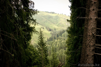 Фотосессии, услуги фотографа - Изображение #6, Объявление #729527