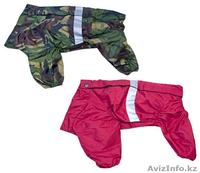 Зоотовары для животных - Изображение #3, Объявление #758883