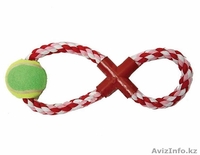 Зоотовары для животных - Изображение #2, Объявление #758883