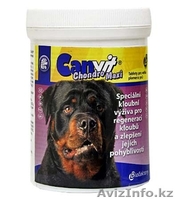 Зоотовары для животных - Изображение #4, Объявление #758883