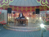 Музыкант для любых банкет  - Изображение #2, Объявление #755068