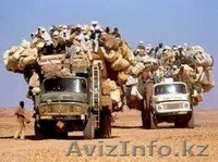 Грузчики мебельщики аккуратно перевезут - Изображение #1, Объявление #753114