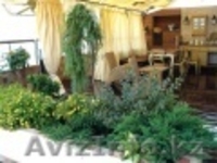 квартира должна ожить - Изображение #1, Объявление #767467