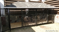 Собачьи будки, собачьи домики, вольеры, киоски  - Изображение #1, Объявление #777255
