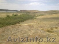 Заповедная земля вдоль реки Или - Изображение #3, Объявление #785557
