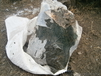 Нефрит,мёд,орех,травы,маралы. - Изображение #1, Объявление #799850