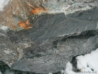 Нефрит,мёд,орех,травы,маралы. - Изображение #2, Объявление #799850