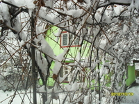 Продам садовый дом в элитном районе - Изображение #2, Объявление #796369