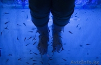 Истинным ценителям SPA – процедур! - Изображение #1, Объявление #703356