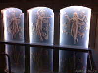 ремонт квартир,офисов,котеджей - Изображение #5, Объявление #814508