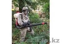 Дезинфекционная станция "ДезГарант" - Изображение #2, Объявление #831370