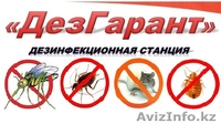 Дезинфекционная станция "ДезГарант" - Изображение #1, Объявление #831370