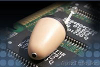 Микронаушники для сдачи ЕНТ, Экзаменов, Гос, МАБ!!! - Изображение #6, Объявление #847805