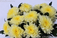 Цветы к 8-му Марта - Изображение #1, Объявление #839260