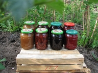 ДОМАШНЕЕ ВАРЕНЬЕ, МЕД ГОРНЫЙ. Доставка по городу - Изображение #2, Объявление #833538
