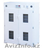 Инкубаторы производство ФРГ - Изображение #1, Объявление #833736