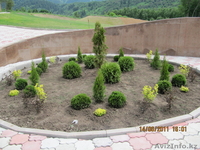 ТОО \\\"ТАЛГАР-2000\\\" - Изображение #3, Объявление #844840