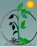 ВЫЙТИ  ИЗ  ЗАПОЯ похмелья,   КРУГЛОСУТОЧНО - Изображение #2, Объявление #848874